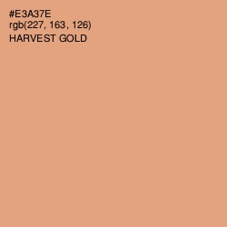 #E3A37E - Harvest Gold Color Image